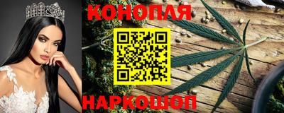 Альфа ПВП Анапа