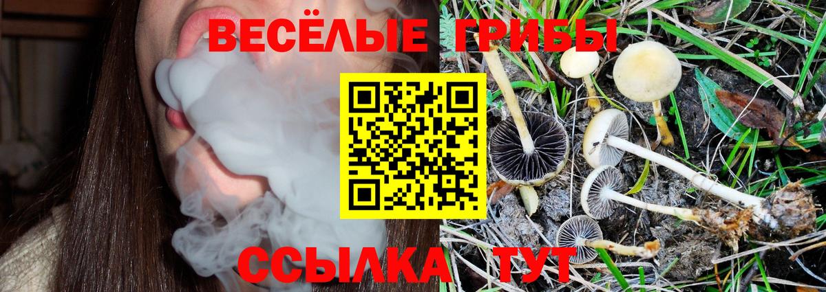 Галлюциногенные грибы Magic Shrooms  Вход с VPN  Воскресенск 